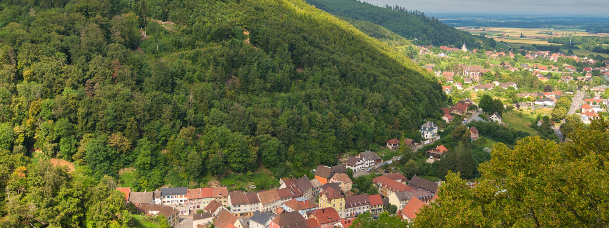Découvrir le Sundgau depuis l’Auberge des 3 Vallées : Route de la Carpe Frite, châteaux et nature Saint-Louis